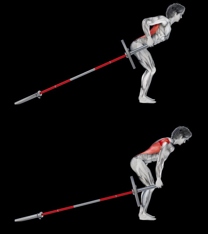 the landmine row drawing diagram of man doing one single arm landmine row exercise